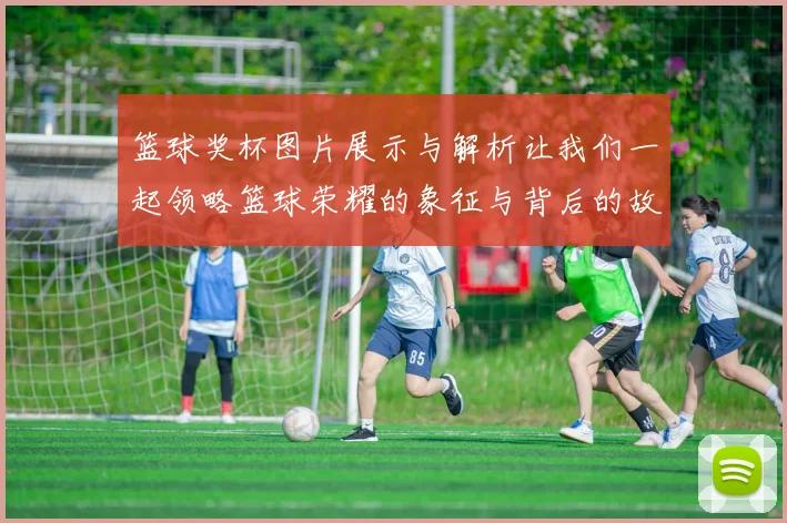 篮球奖杯图片展示与解析让我们一起领略篮球荣耀的象征与背后的故事