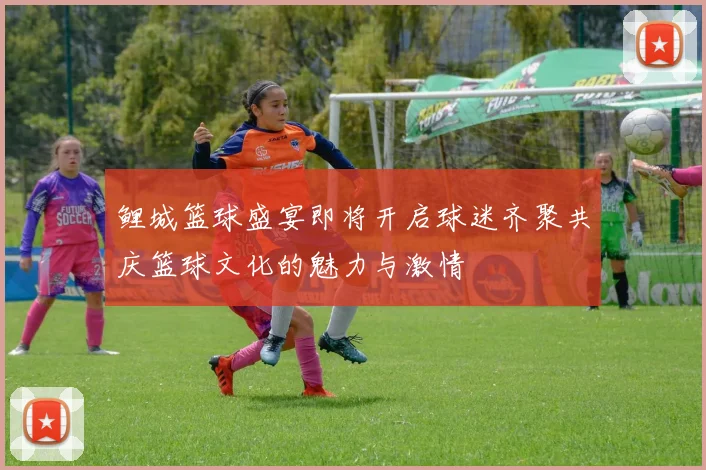 鲤城篮球盛宴即将开启球迷齐聚共庆篮球文化的魅力与激情