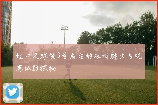 虹口足球场3号看台的独特魅力与观赛体验探秘