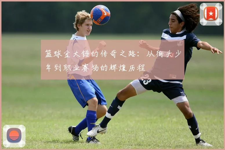 篮球金大锤的传奇之路：从街头少年到职业赛场的辉煌历程